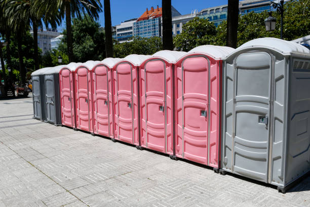 Best Eco-Friendly Portable Toilets  in Bemidji, MN