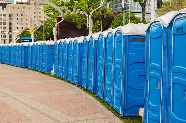 Best Portable Toilet Rental for Emergency Services  in Bemidji, MN